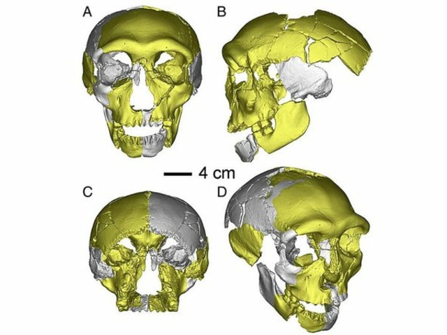 https://timnews.com.br/system/images/photos/15695950/original/open-uri20230805-18-1f07oh?1691238983