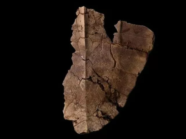 Texto escondido de Ptolomeu é decifrado 200 anos após ser descoberto