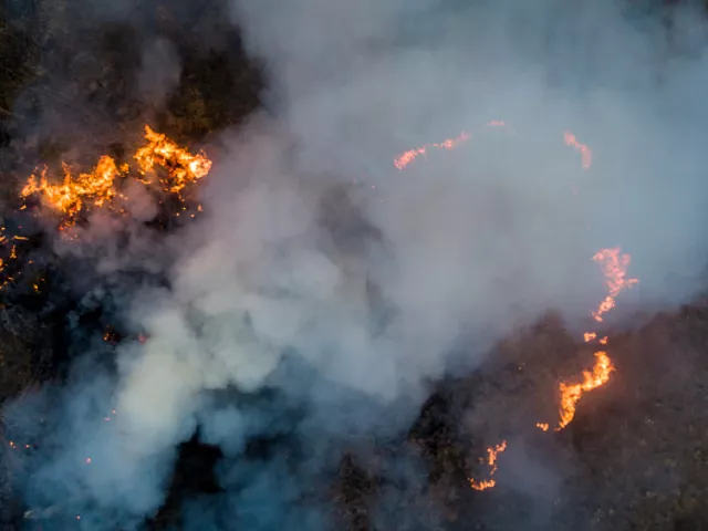 https://timnews.com.br/system/images/photos/16353258/original/GettyImages-1228774011?1726838221