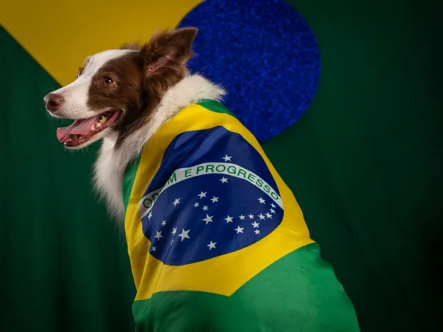 https://timnews.com.br/system/images/photos/16754891/original/open-uri20260616-46-jver07?1781638213